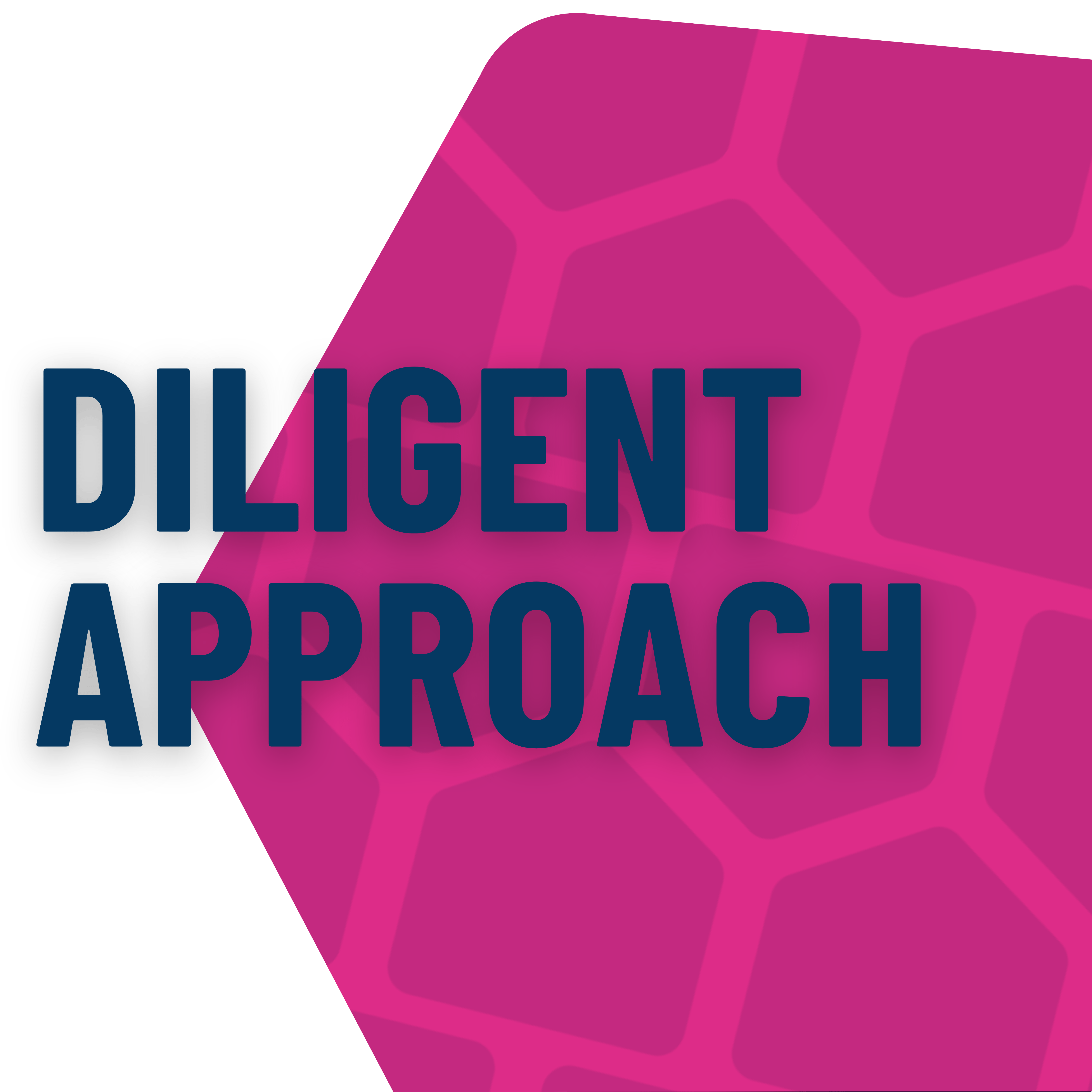 DUE DILIGENCE
