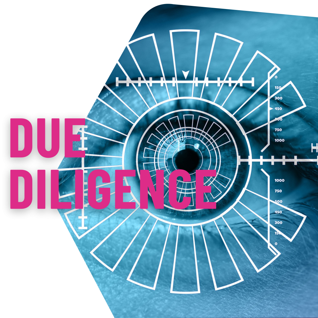 DUE DILIGENCE
