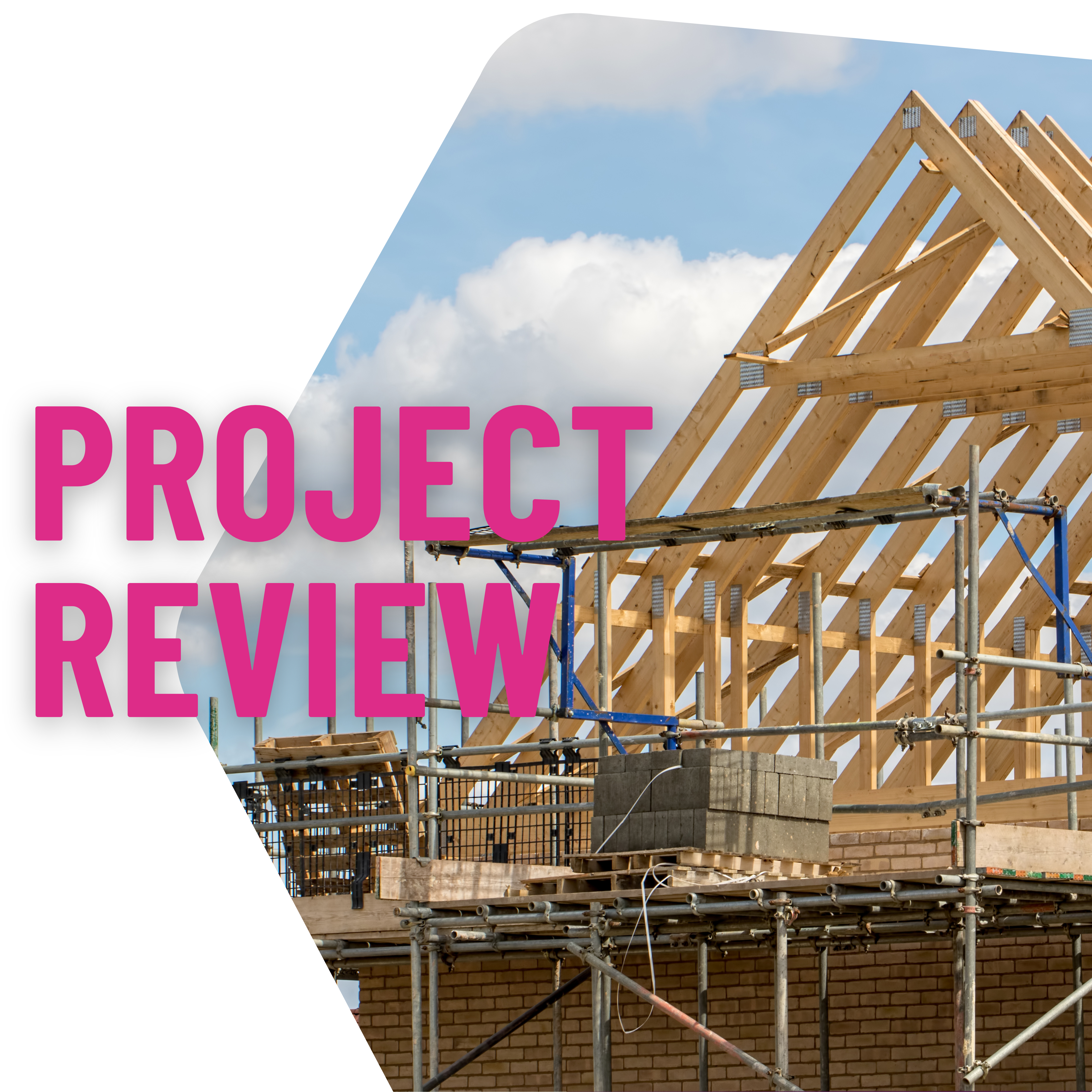 project review